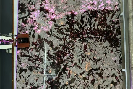 雪山，迎客松，发财树，金枝玉叶，麒麟送福