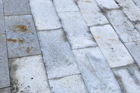 芝麻白特价处理的质量就这样