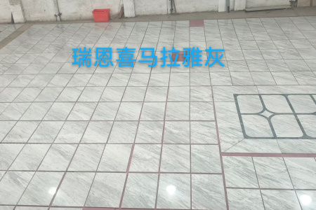 喜马拉雅灰