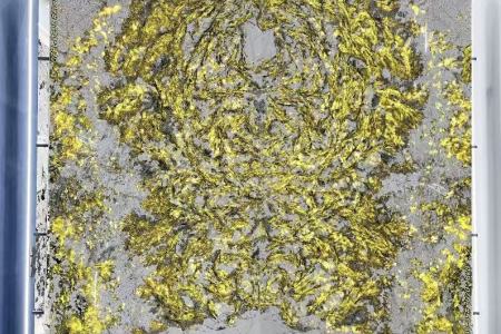 奢石孔雀开屏 背景墙