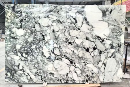 大花白(宝格丽)