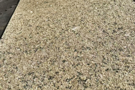 荔枝面提色