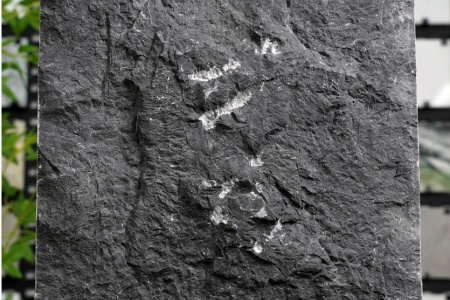 金沙黑·中国黑自然面