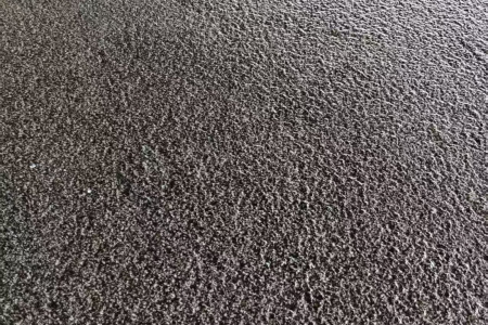 湛江黑荔枝面