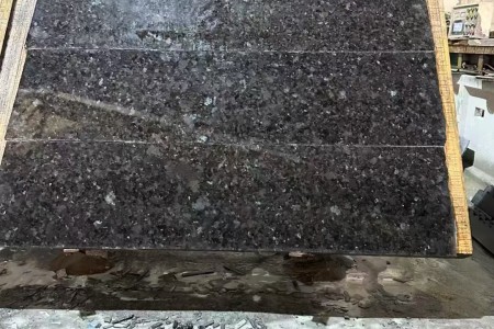 安哥拉棕