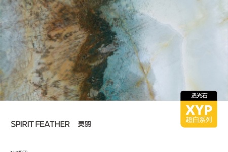 CY122709TG6266X灵羽