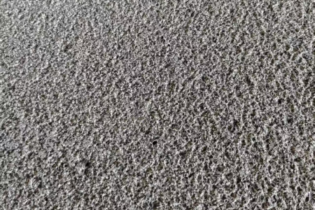 湛江黑荔枝面