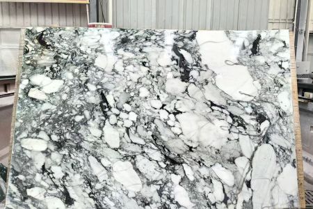 大花白(宝格丽)