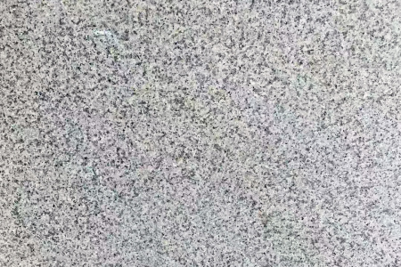 漳浦虾红荔枝面