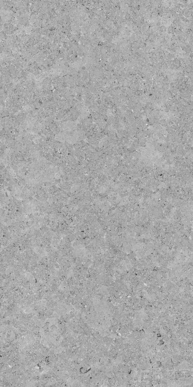 SC122893-1西澳云贝浅灰