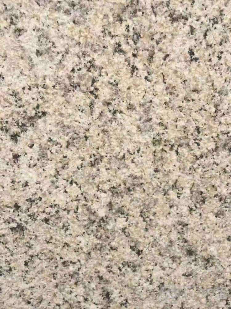 橙色玫瑰荔枝面