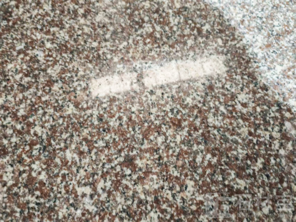 海洋红(海阳红)