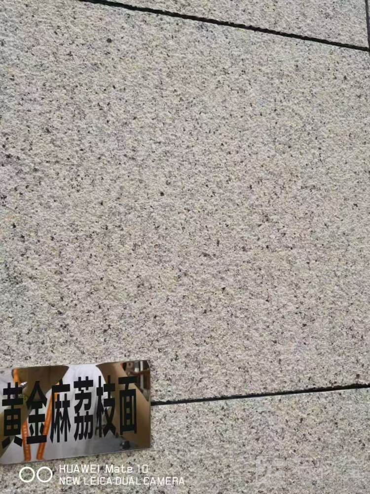 内蒙古黄金麻荔枝面