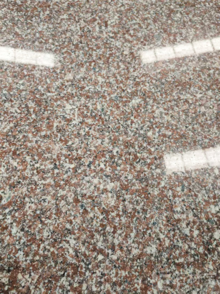 海洋红(海阳红)