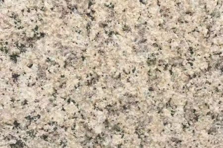 橙色玫瑰荔枝面