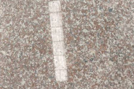 海洋红(海阳红)