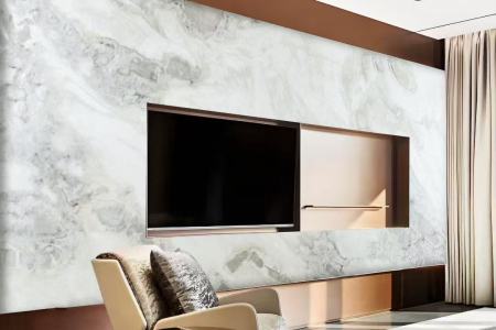 芬迪白/毕加索案例