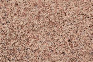 新石岛红荔枝面