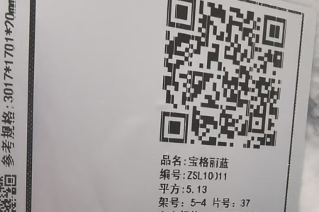 宝格丽蓝ZSL10011