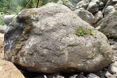 野山青苔石