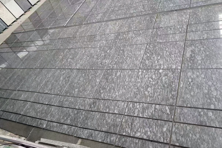 印度蓝(牛眼睛)