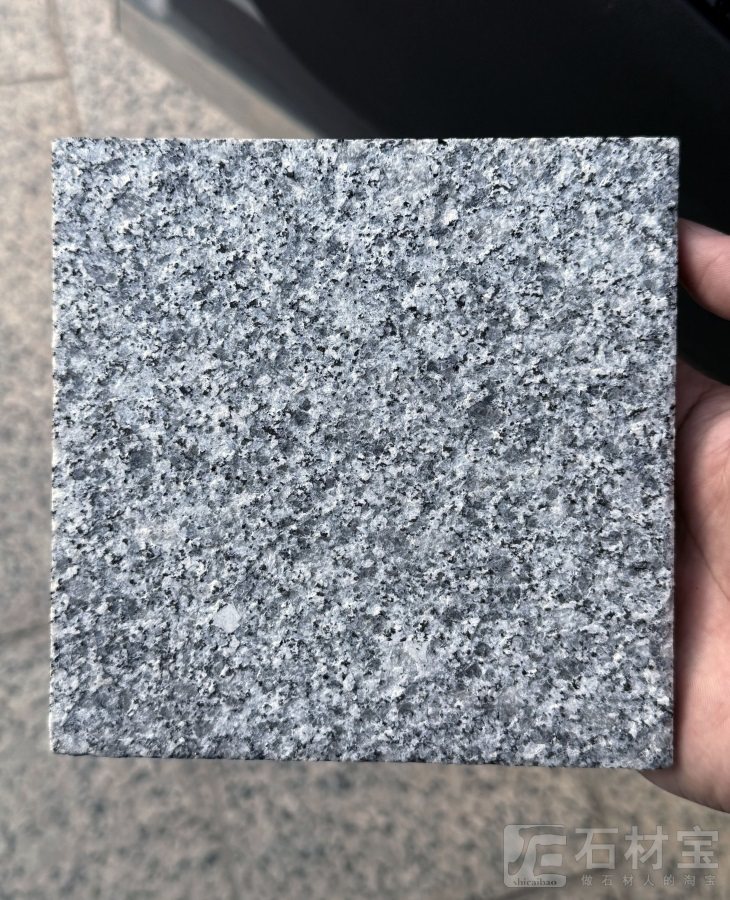 廉江芝麻灰荔枝面