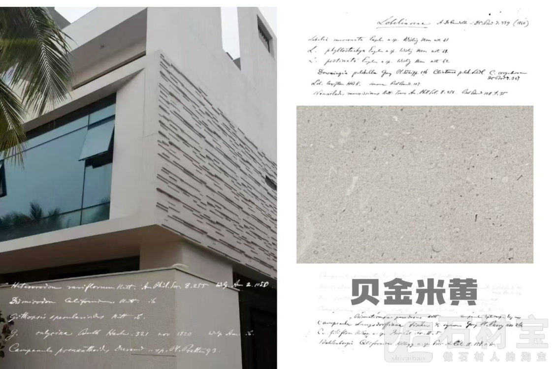 贝金米黄贝金米黄