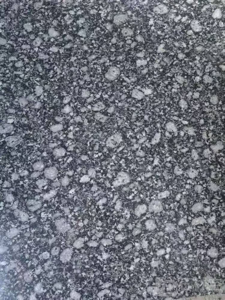 新珍珠兰，云梦黑