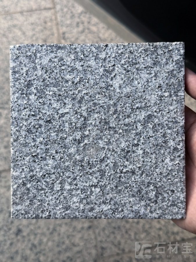 廉江芝麻灰荔枝面