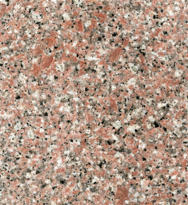 遂川红(江南红)大红