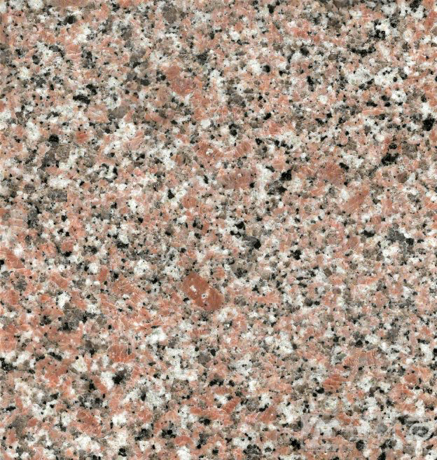 遂川红(江南红)中红