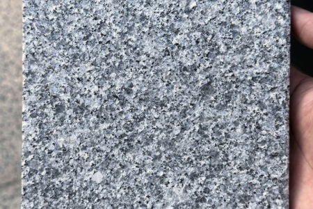 廉江芝麻灰荔枝面