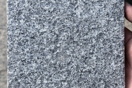 廉江芝麻灰荔枝面