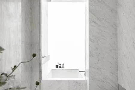 纳米雅柏白案例