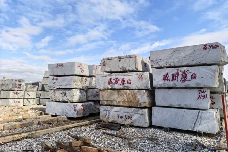 威斯康白、维斯康白