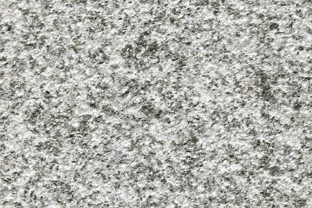 钦州芝麻黑荔枝面