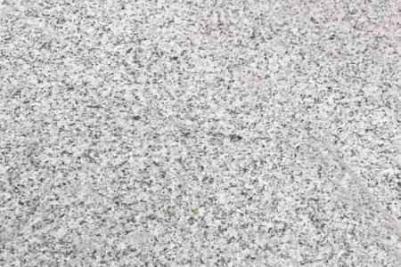 廉江芝麻白荔枝面