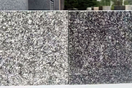 江西新矿芝麻黑