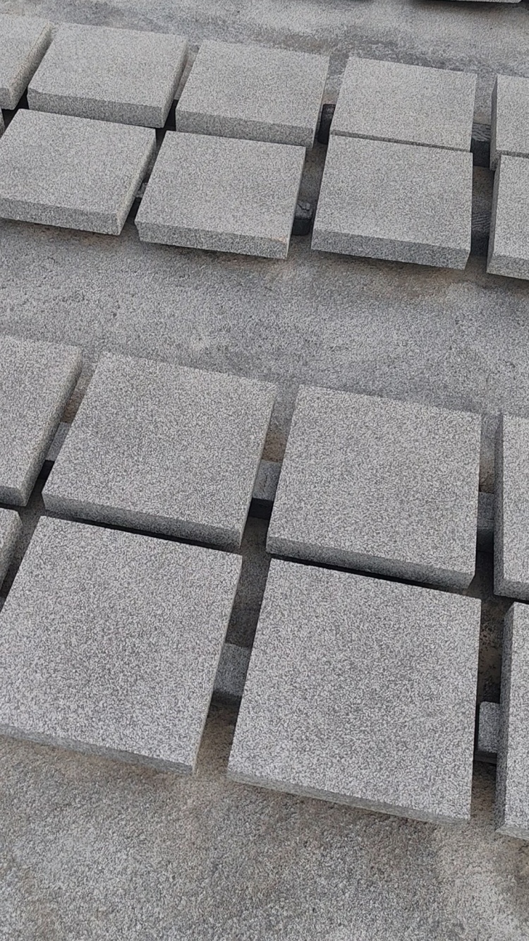 广西钟山青芝麻黑