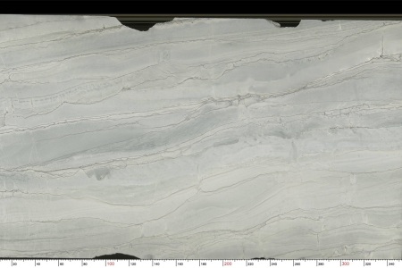 巴西鱼肚白TX-1542