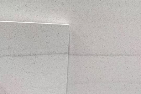 白木纹木化石宽纹