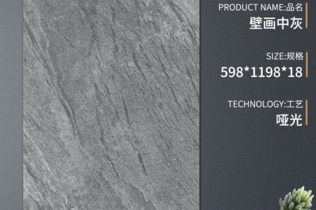 S-SCM61253TG壁画中灰