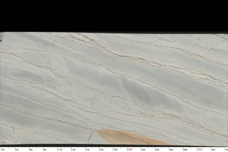 巴西鱼肚白TX-1186