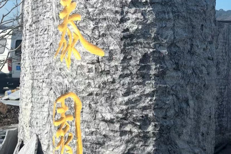 泰岳·水墨刻字石