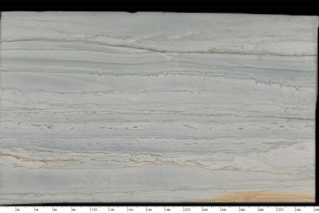 巴西鱼肚白TX-1589