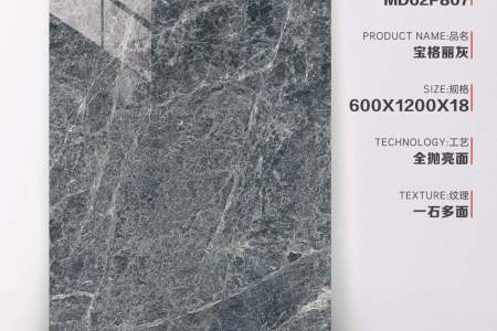 MD62P807宝格丽灰1