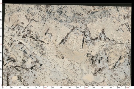 阿尔卑斯雪TX-1104