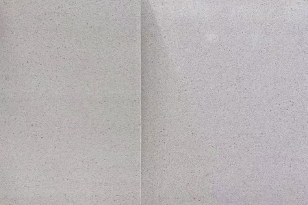 经典直纹木化石