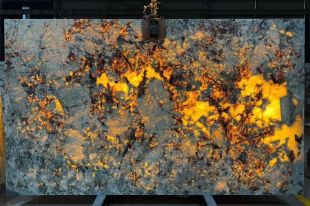 雪山兰透光效果