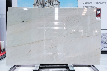 阿罗拉白SA-AR0102